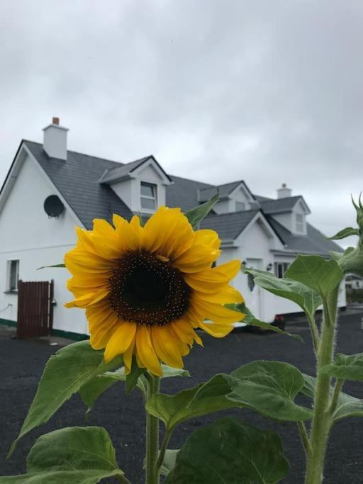 Apartamento Curlews Rest - Gateway To The Aran Islands Galway Exterior foto