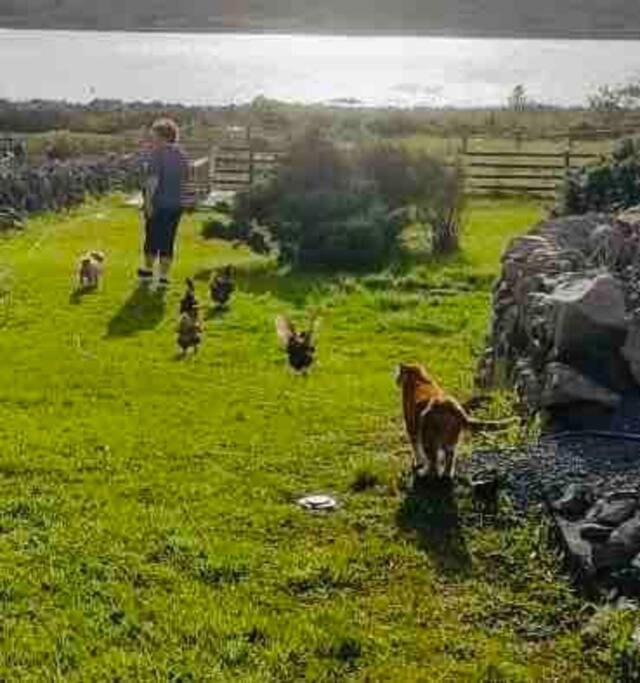 Apartamento Curlews Rest - Gateway To The Aran Islands Galway Exterior foto